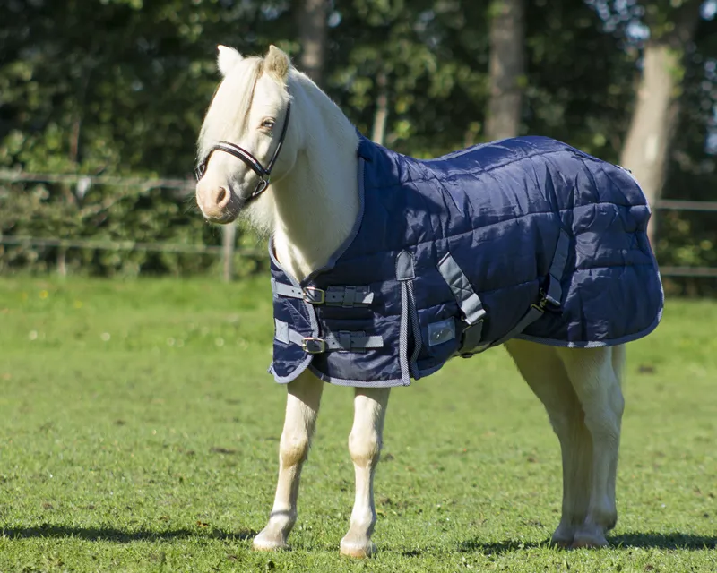 QHP Falabella Stable Rug 200g in Navy-1